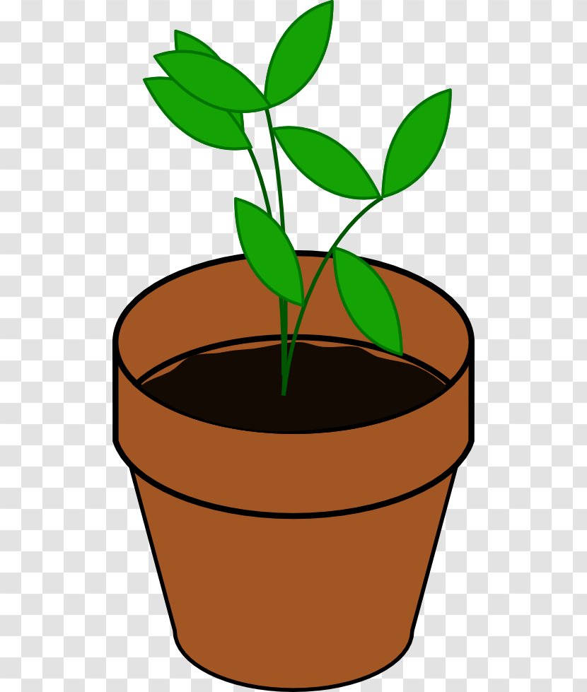 Houseplant Flowerpot Clip Art - Plant Transparent PNG