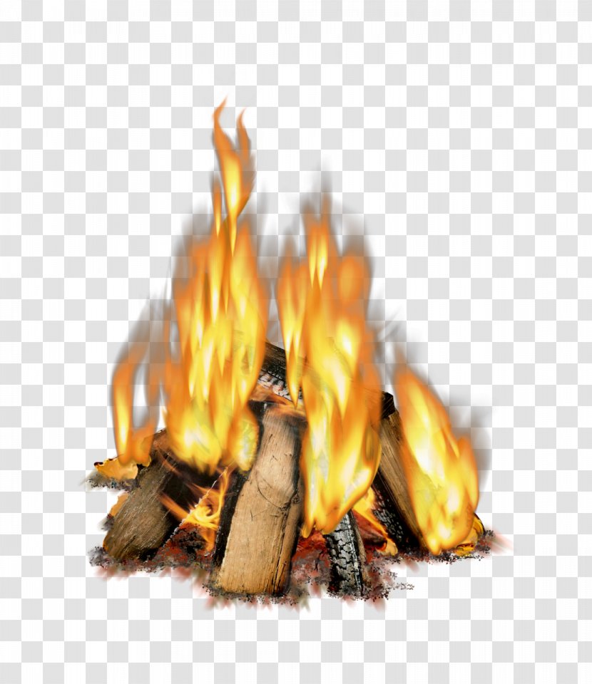 Light Fireplace Wood Combustion - Fire Transparent PNG
