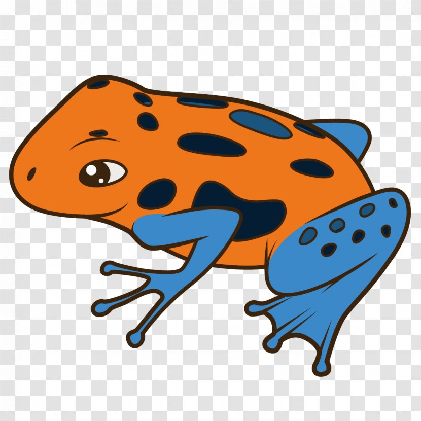 Poison Dart Frog Cartoon Illustration - Art Transparent PNG