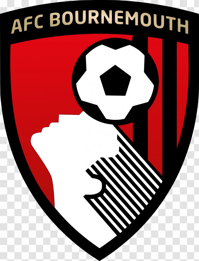 A.F.C. Bournemouth Dean Court Brentford F.C. Football EFL Championship - Ball Transparent PNG