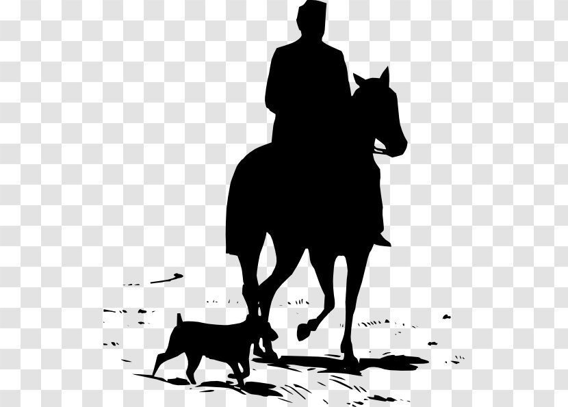 Tennessee Walking Horse Equestrian Silhouette Clip Art - Hound - Western Transparent PNG