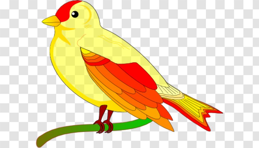 Lovebird Parrot Animation Clip Art - Beak - Birds Branch Cliparts Transparent PNG