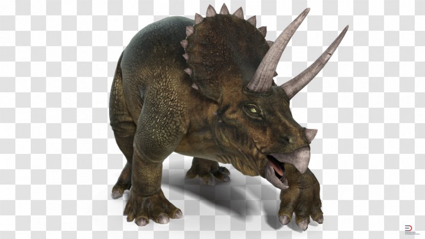 Triceratops Horn Terrestrial Animal Snout Wildlife - Fauna - Triceratop Transparent PNG