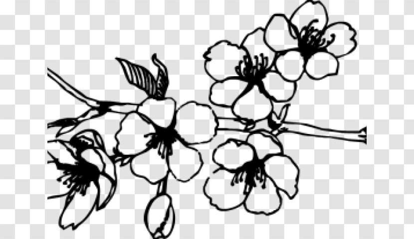 Flower Leaf Plant Branch Black-and-white - Blackandwhite - Line Art Petal Transparent PNG
