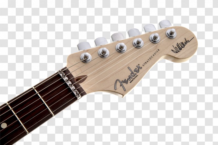Fender Stratocaster Squier Deluxe Hot Rails Telecaster Bullet - Cartoon - Rosewood Transparent PNG