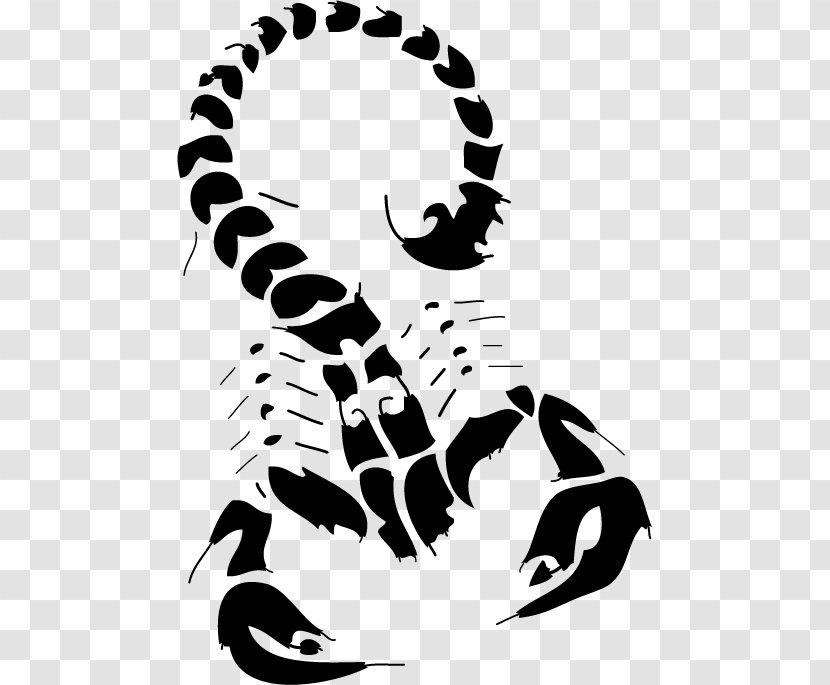 The House Of Scorpion Clip Art - Monochrome Photography - Vector Transparent PNG