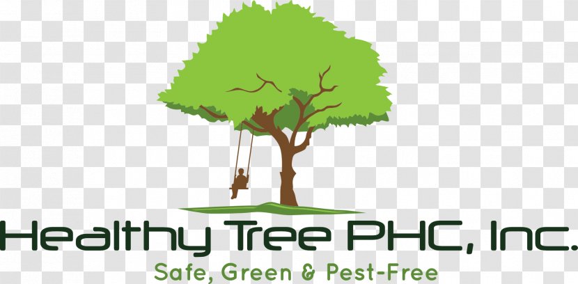 Sous Les Oliviers Pulvinaria Innumerabilis Product Fertilisers Company - Tree - Adya Yoga And Ayurveda Transparent PNG