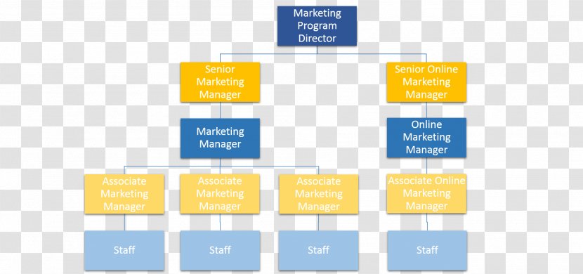Organizational Structure Marketing Chart Management Transparent PNG