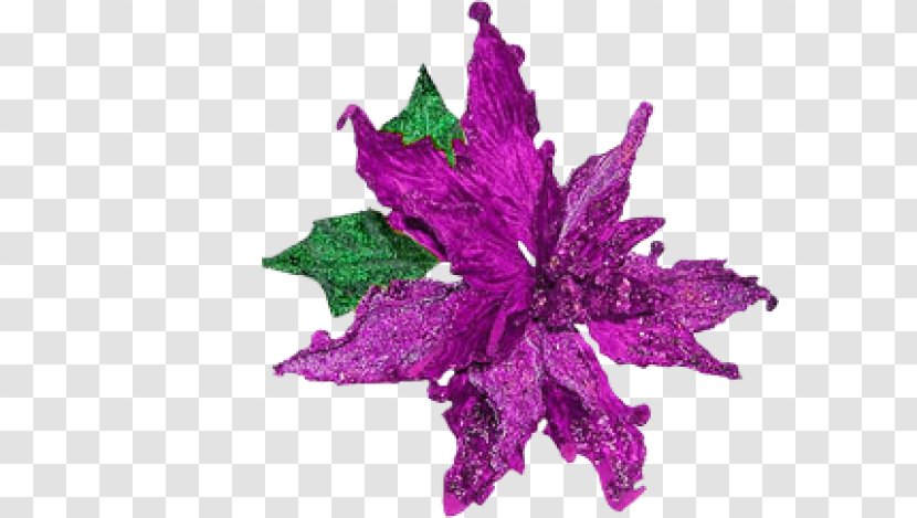 Liturgical Colours Violet Christmas Advent Wreath - Flower Transparent PNG