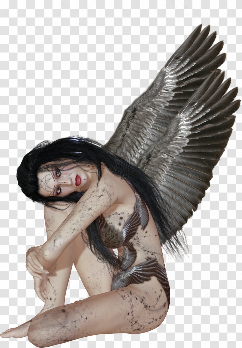 Fallen Angel - Postscript - Butterflies And Moths Transparent PNG