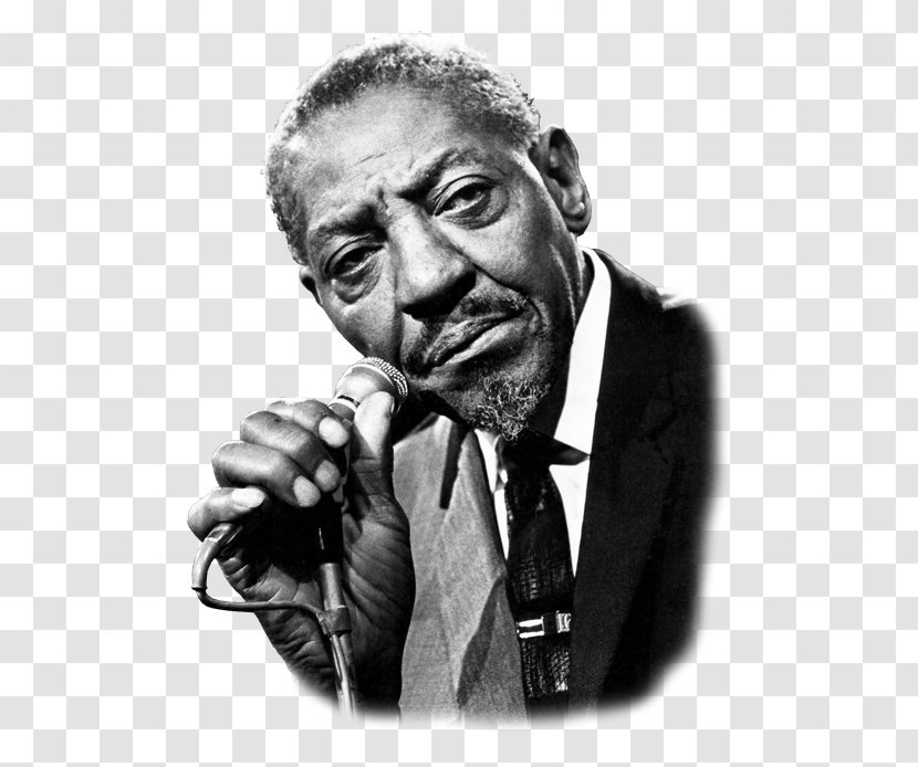 Sonny Boy Williamson II Blues Richter-tuned Harmonica Musician - Watercolor - Flower Transparent PNG