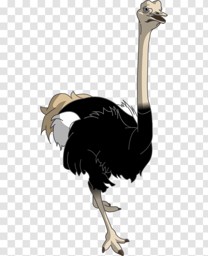 Common Ostrich Cartoon Drawing Image - Bird Transparent PNG