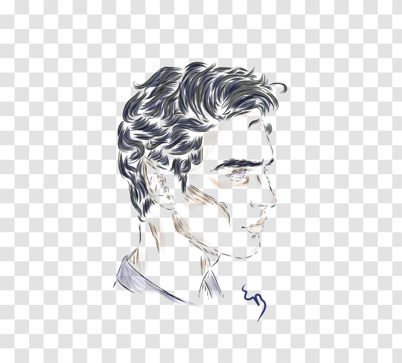 Forehead Illustration Sketch Eyebrow Ear - Hair Transparent PNG