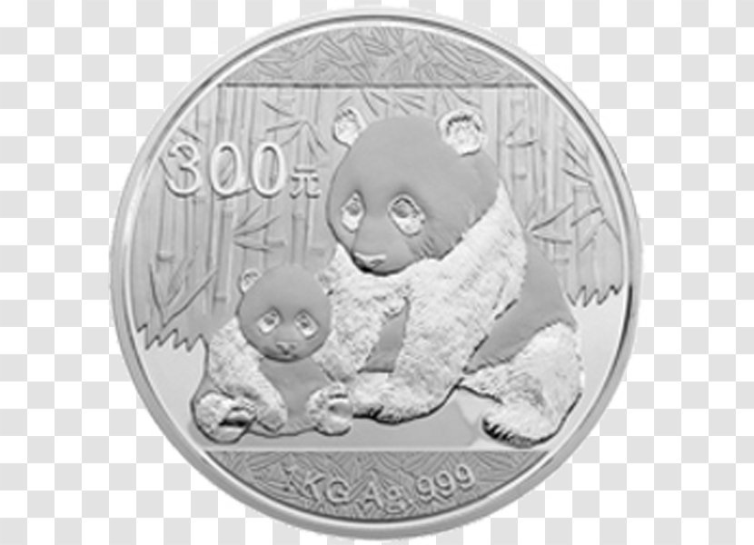 Coin Giant Panda Silver Bear Gold - Carnivoran Transparent PNG
