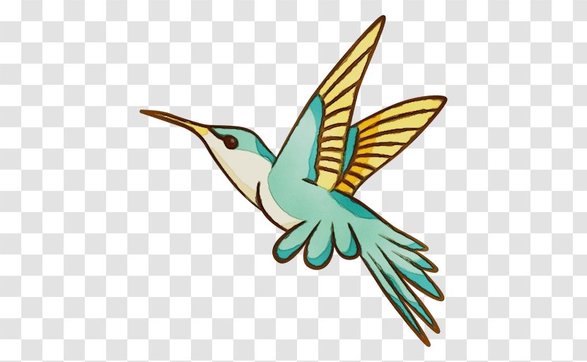 Hummingbird - Paint - Logo Pollinator Transparent PNG