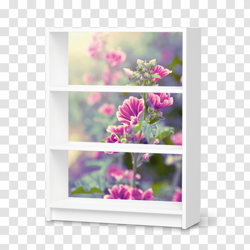 Floral Design Billy Hylla IKEA Furniture - Window - Gaze Transparent PNG