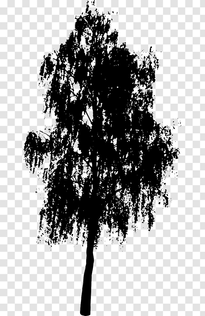 Tree Silhouette Clip Art - Leaf Transparent PNG