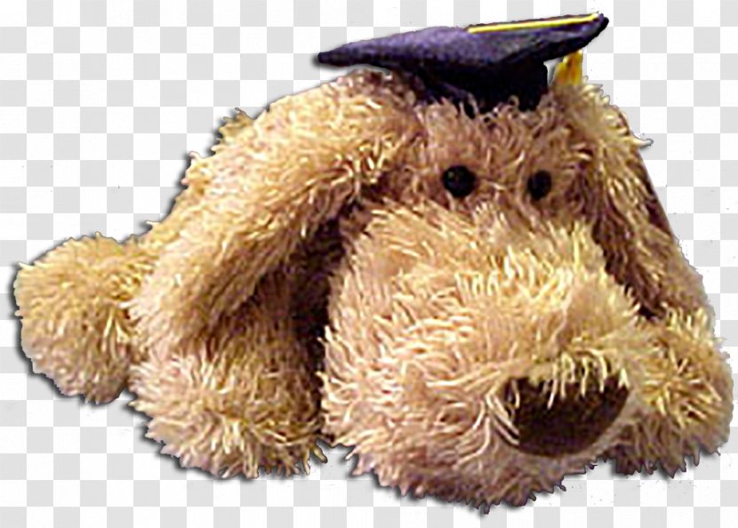 Snout Stuffed Animals & Cuddly Toys - Organism - Golden Graduation Cap Transparent PNG