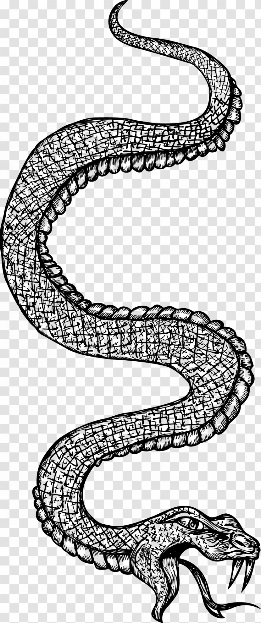 Snake Black And White Line Art - Organism Transparent PNG