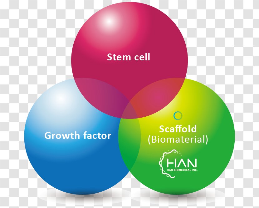 Ball Logo Sphere - Biomedical Engineering Transparent PNG