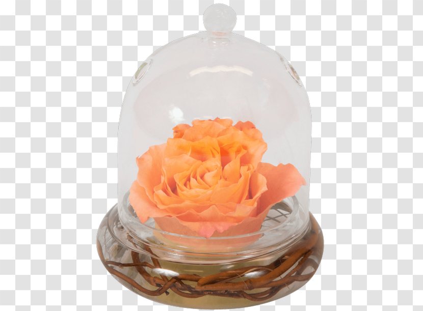 Rose Flower Bouquet Boutonnière Vase - White Transparent PNG
