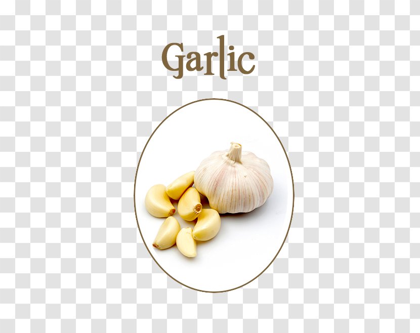 Garlic Presses Food Eating Allicin - Fresh Transparent PNG