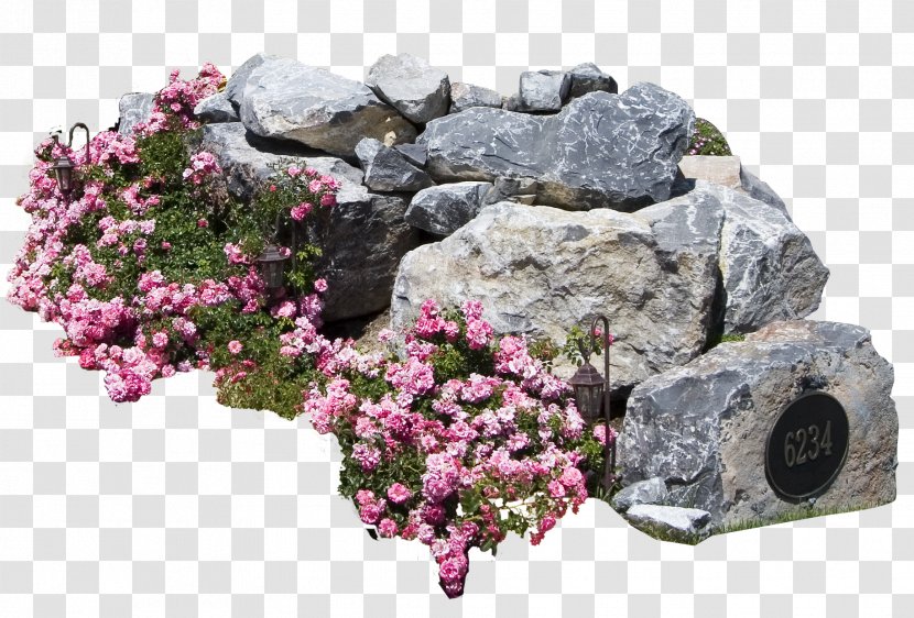 Cut Flowers Plant Shrub Tree - Flora - Rock Transparent PNG