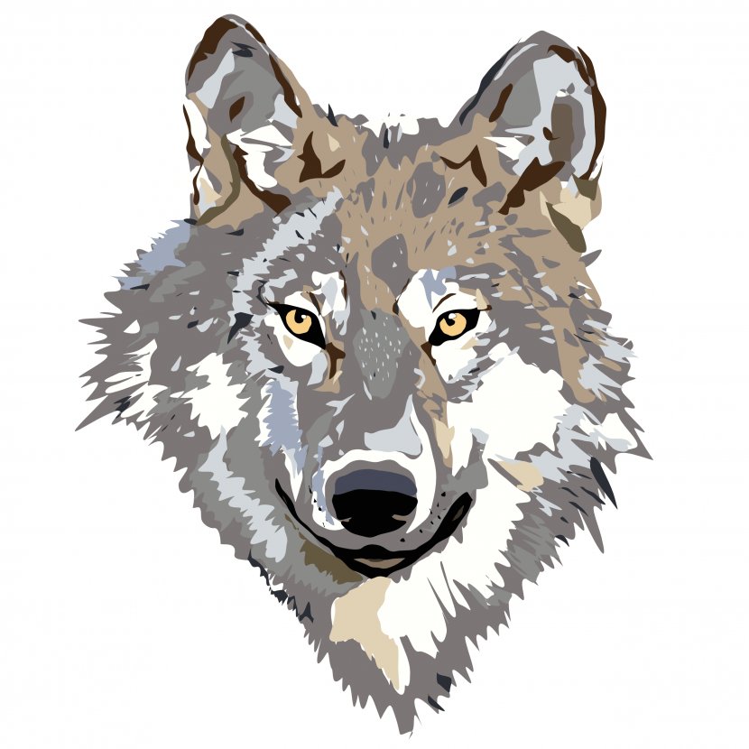 Gray Wolf Coyote Clip Art - Royaltyfree Transparent PNG