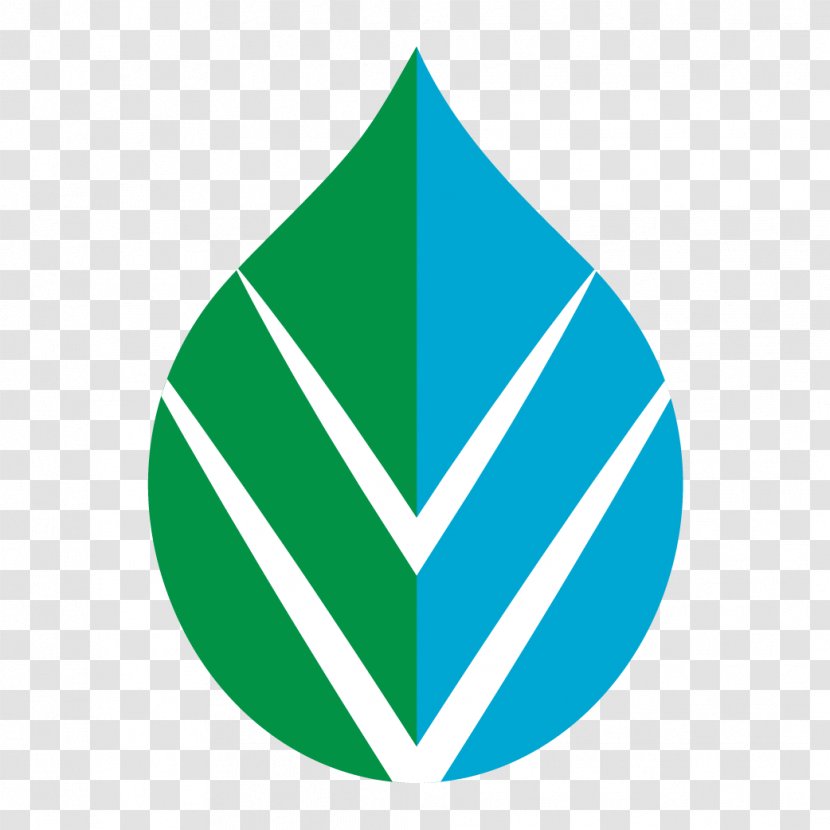 Green Circle Teal Logo - Brand - Vitality Transparent PNG