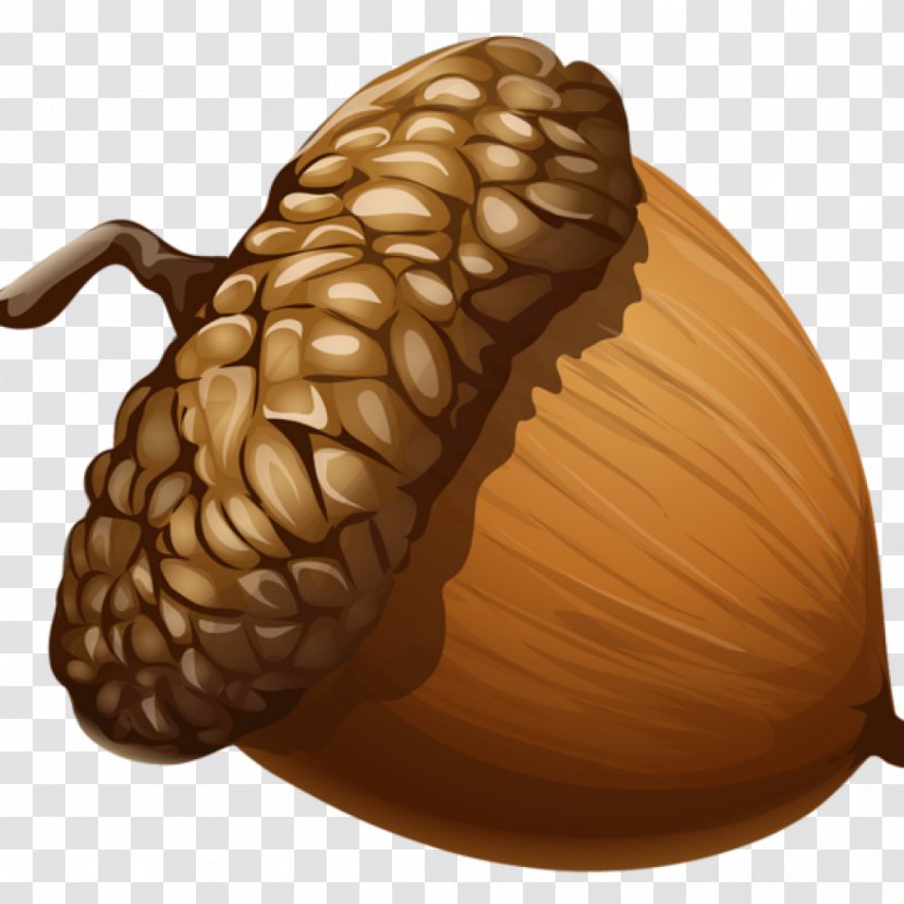 Clip Art Acorn Image Scrat - Food Transparent PNG