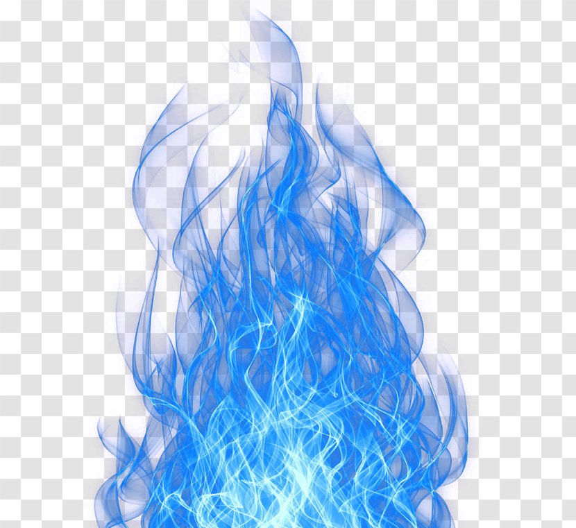Blue Flame - Flower - Cartoon Transparent PNG
