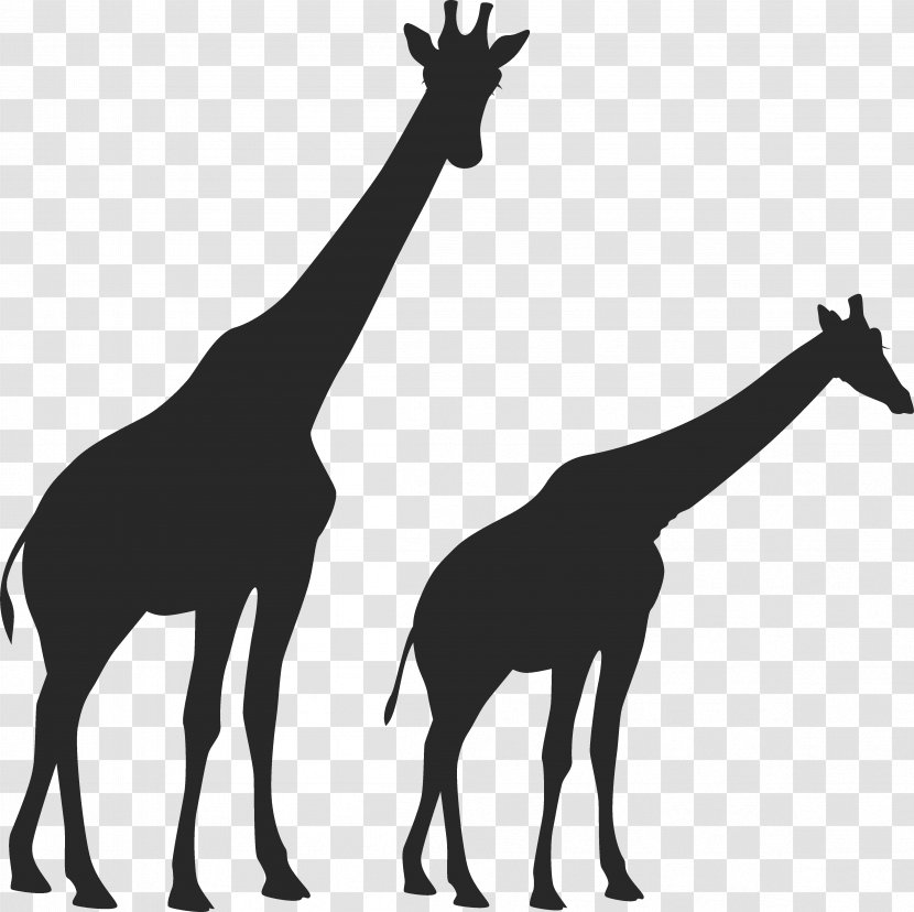 West African Giraffe Vertebrate Mustang Animal Mammal - Watercolor Transparent PNG