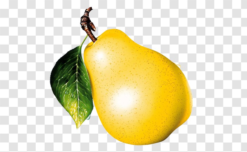 Asian Pear Animaatio Passion Fruit - Blog - Citrus Transparent PNG