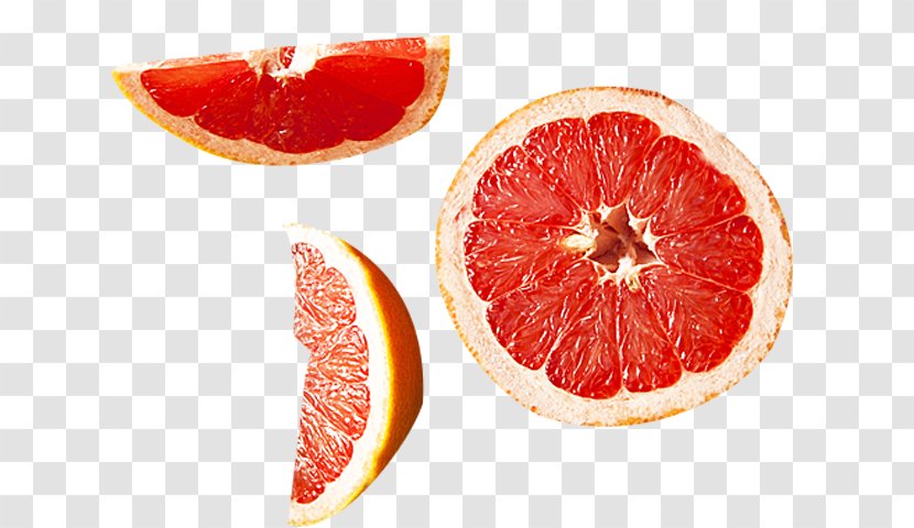 Grapefruit Pomelo Blood Orange Tangelo Citron - Lemon Squeezer - Fresh Little Transparent PNG