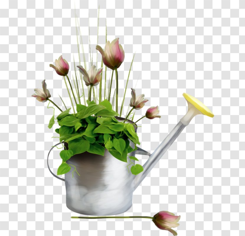 June Floral Design Internet Forum Watering Cans - Flowering Plant Transparent PNG