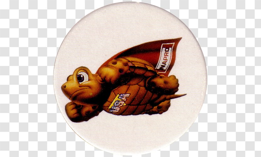 Turtle Petroleum Gamera United States - American Hero Transparent PNG