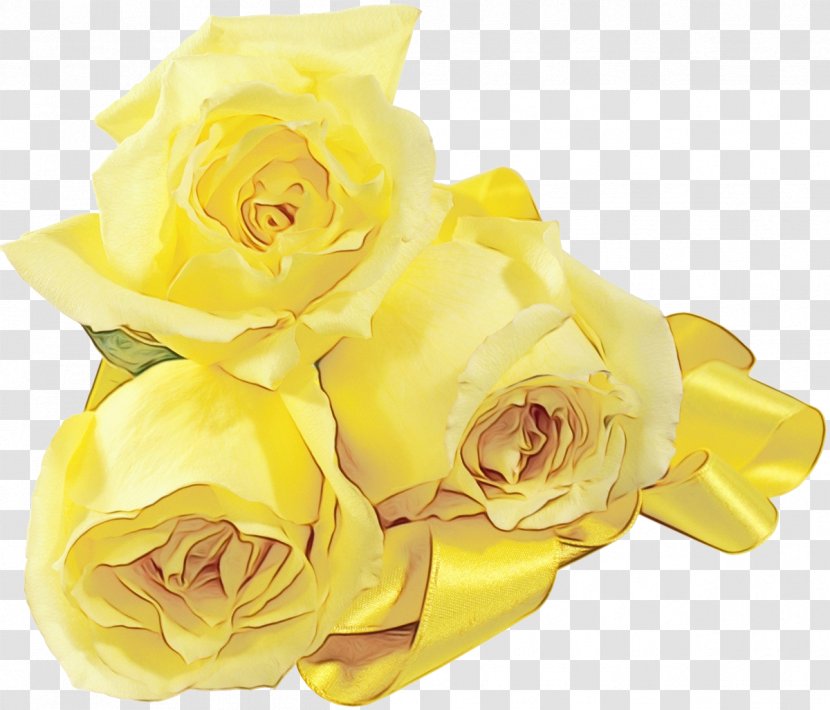 Garden Roses - Petal - Bouquet Transparent PNG