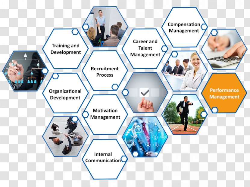 Performance Management Human Resource System - Diagram Transparent PNG