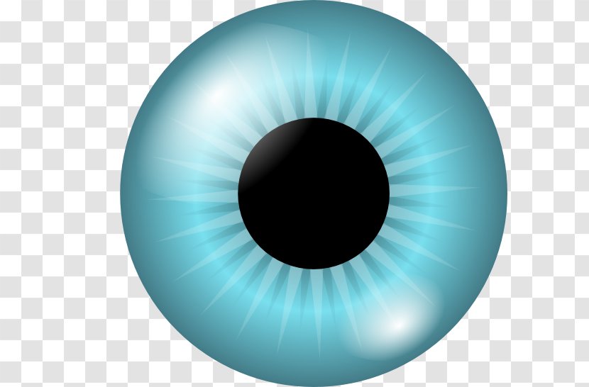 Iris Human Eye Pupil Clip Art - Cartoon - Vector Transparent PNG