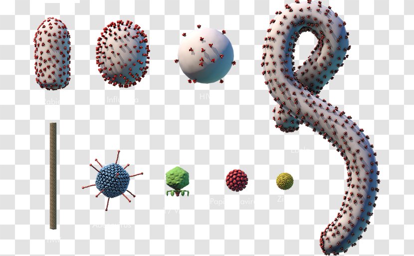Ebola Virus Disease Microorganism EBOV Bacteria - Hiv - A Number Of Cancer Cell Bodies Transparent PNG