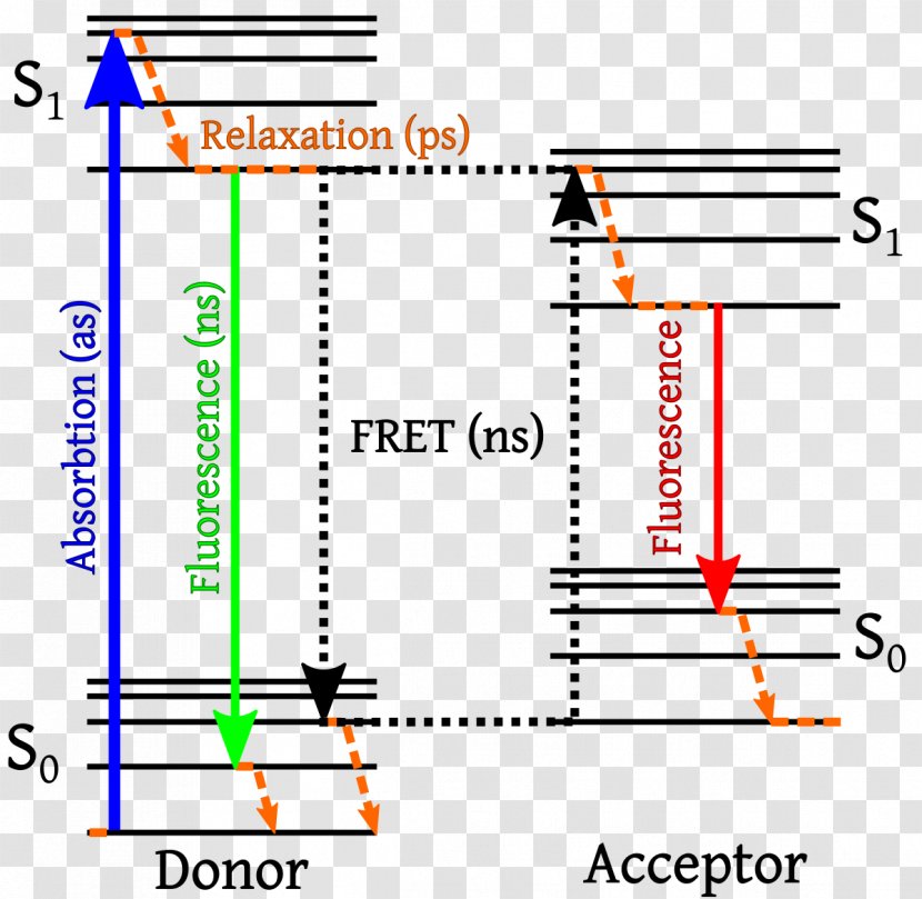 Förster Resonance Energy Transfer Jablonski Diagram Fluorescence Dexter Electron - Luminescence Transparent PNG