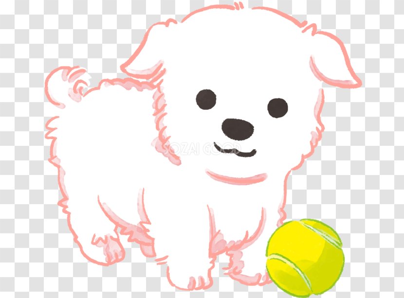 Puppy Maltese Dog Clip Art - Cartoon Transparent PNG