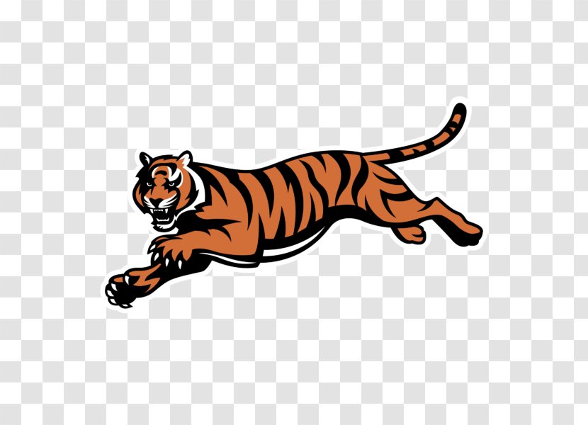 Cincinnati Bengals NFL Bearcats Football T-shirt American - Mammal Transparent PNG