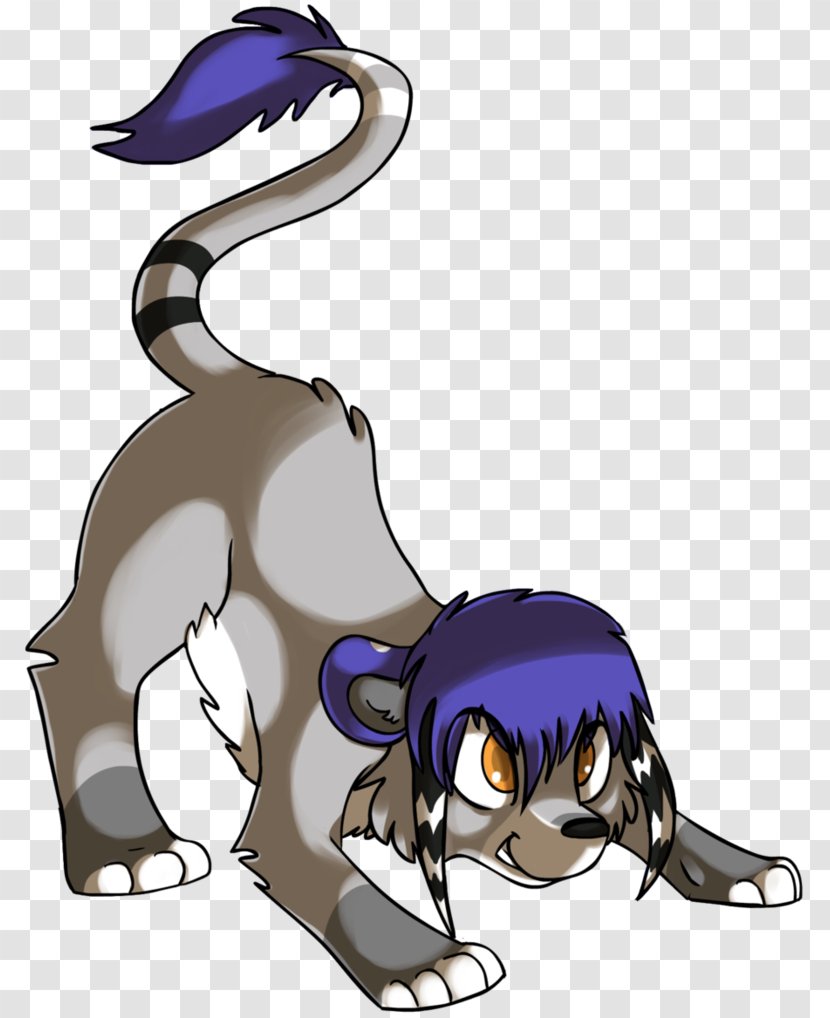 Kitten Whiskers Dog Cat Horse - Organism Transparent PNG