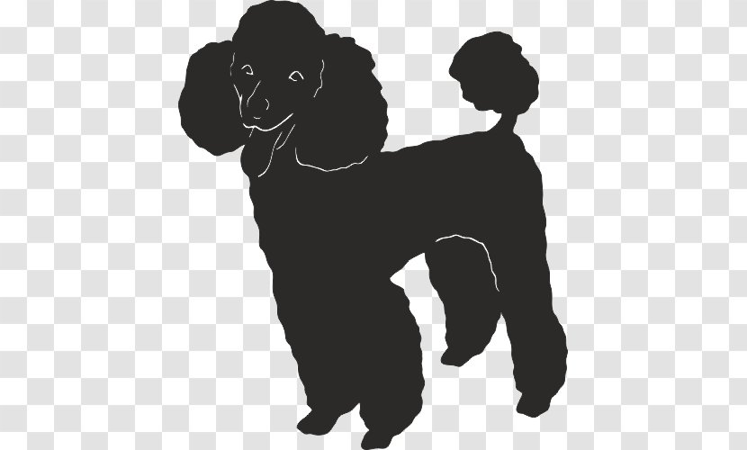 Dog Breed Puppy Companion Poodle Non-sporting Group - Nonsporting Transparent PNG