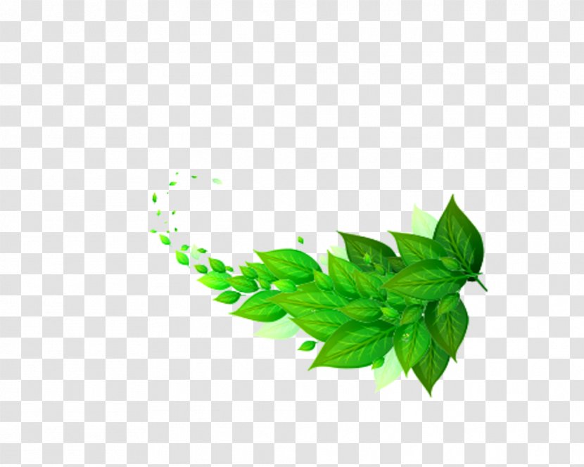 Leaf Green Download Wallpaper - Creative Wind Blows Leaves Transparent PNG