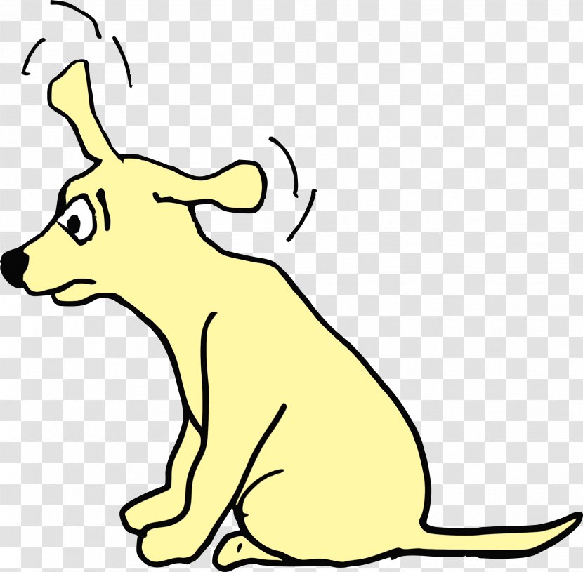 Red Fox Dog Whiskers Kangaroo Snout - Pleased Paw Transparent PNG