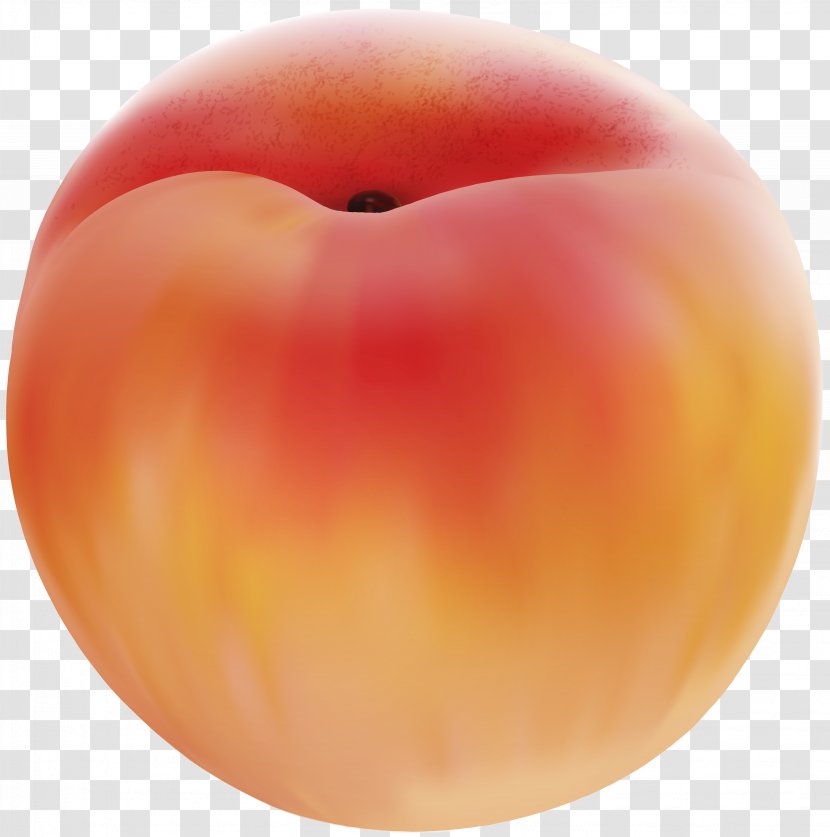 Juice Peach Clip Art - Windows Thumbnail Cache - Fruit Transparent PNG