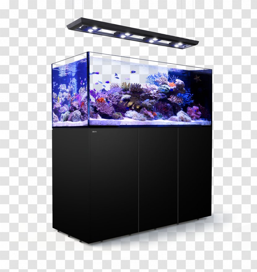 Red Sea REEFER Peninsula Reef Aquarium - Water Transparent PNG