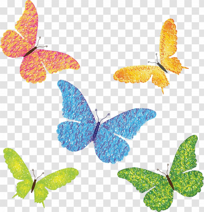 Butterfly - Insect - Symmetry Transparent PNG